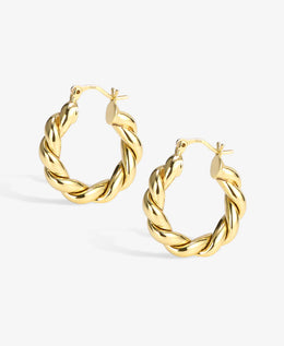 Twisted Circle Hoop Earrings