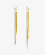 Long Thin Tassel Drop  Earrings